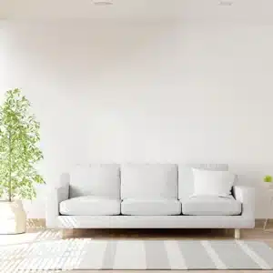 【一般家庭向け】衛生管理コンサル費(1時間)