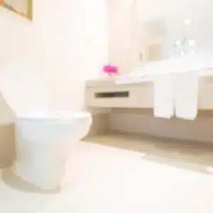 【一般家庭・事業所共通】トイレ便器脱着費